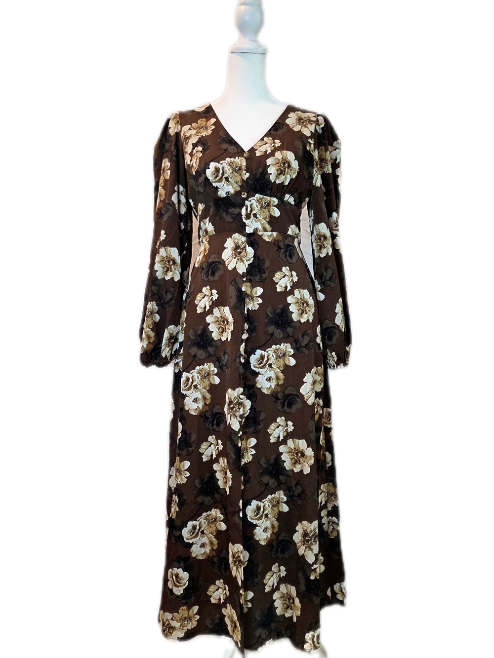 V-Neck Long Sleeve Floral Maxi Dress in Brown and Cream Large